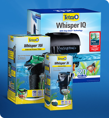Tetra fish 2025 products
